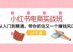 小红书电商实战班,从入门到精通,带你抓住又一个赚钱风口(16节)
