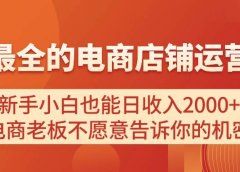电商店铺运营教学,新手小白也能日收入2000+,电商老板不愿意告诉你的机密