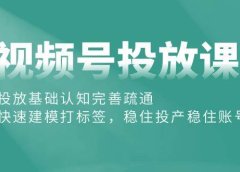 视频号投放课：投放基础认知完善疏通，快速建模打标签，稳住投产稳住账号