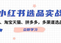 小红书选品实战:站内、淘宝天猫、拼多多,多渠道选品策略