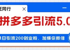 拼多多引流付费创业粉，单日引流200+，日入4000+