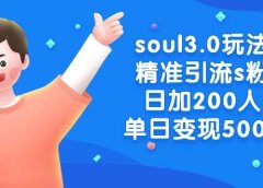 soul3.0玩法精准引流s粉，日加200人单日变现500+