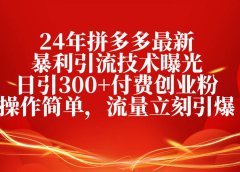24年拼多多最新暴利引流技术曝光,日引300+付费创业粉,操作简单,流量...