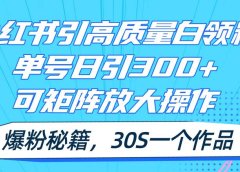 小红书引高质量白领粉，单号日引300+，可放大操作，爆粉秘籍！30s一个作品
