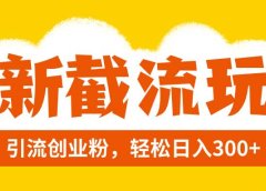 全新截流玩法，精准引流创业粉，轻松日入300+