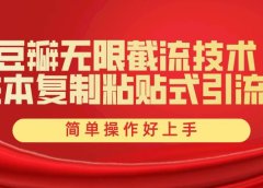 豆瓣无限截流创业粉,一键操作,卷死同行,简单操作好上手附赠全套工具