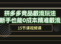 拼多多竞品截流玩法,新手也能0成本精准截流(15节课)