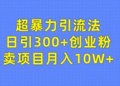 超暴力引流法,日引300+创业粉,卖项目月入10W+
