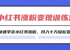 2024小红书涨粉变现训练营,快速学会小红书涨粉,月入十万轻松变现(40节)