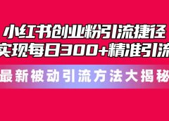 小红书创业粉引流捷径！最新被动引流方法大揭秘，实现每日300+精准引流