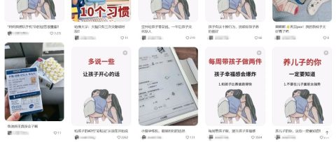 一学就会,只需2步,教会你做3.2万赞爆火的育儿小红书/小绿书,涨粉带货两不误