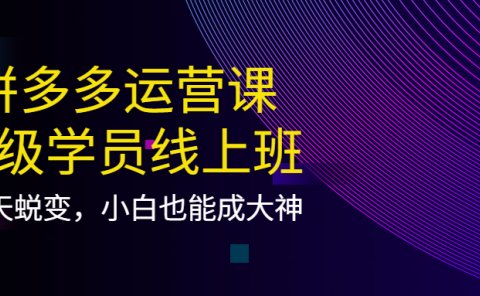 拼多多运营课:超级学员线上班,21天蜕变,小白也能成大神