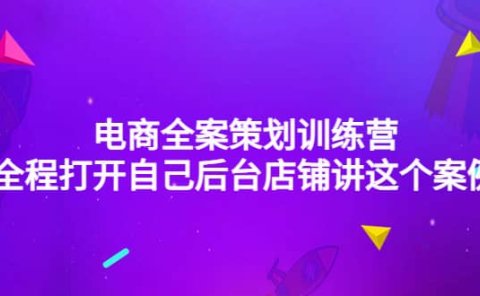 电商全案策划训练营:全程打开自己后台店铺讲这个案例(9节课时)