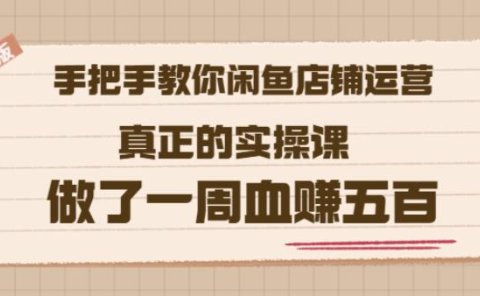 2022版《手把手教你闲鱼店铺运营》真正的实操课做了一周血赚五百(16节课)