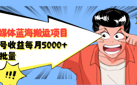 自媒体蓝海搬运项目,价值680元