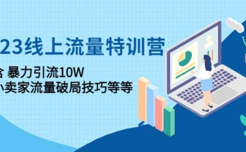 2023线上流量特训营:中小卖家流量破局技巧等等