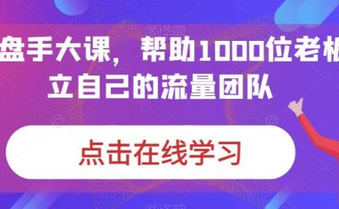 IP-操盘手大课,帮助1000位老板建立自己的流量团队(13节课)