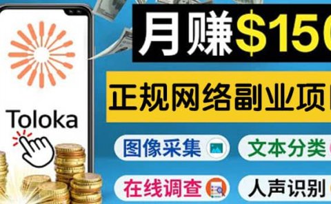正规网络副业赚钱平台Toloka,利用业余时间月赚150美元