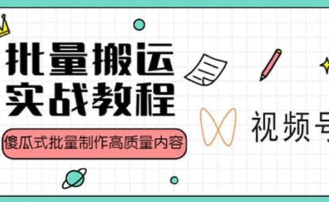 视频号批量搬运实战赚钱教程,傻瓜式批量制作高质量内容【附视频教程+PPT】