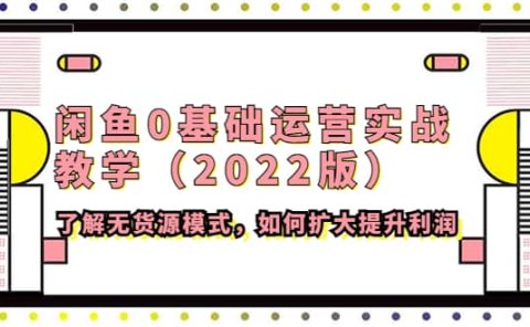 闲鱼0基础运营实战教学(2022版)了解无货源模式,如何扩大提升利润