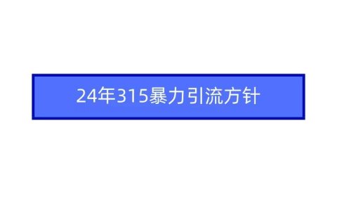 2024年315暴力引流方针