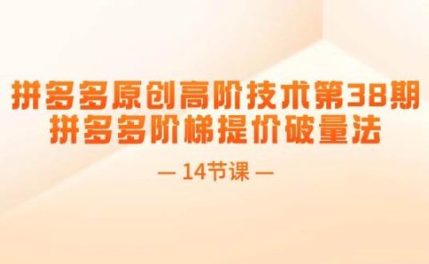 拼多多原创高阶技术第38期,拼多多阶梯提价破量法(14节课)