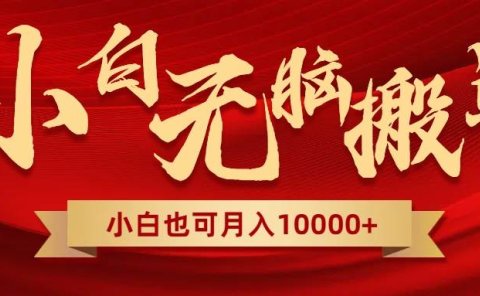 无脑搬运视频，全新平台独占玩法，一个账号每天1000+，多账号轻松扩张！