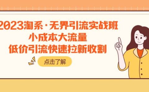 2023淘系·无界引流实战班:小成本大流量,低价引流快速拉新收割