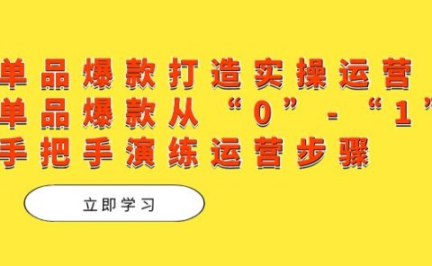 单品爆款打造实操运营,单品爆款从“0”-“1”手把手演练运营步骤