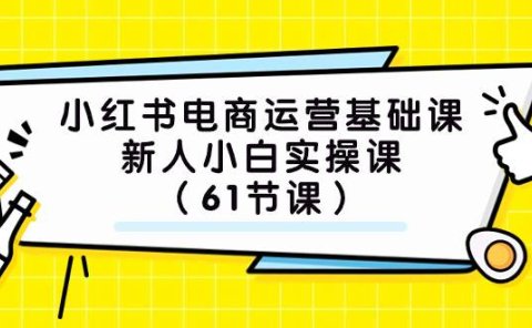 小红书电商运营基础课,新人小白实操课(61节课)