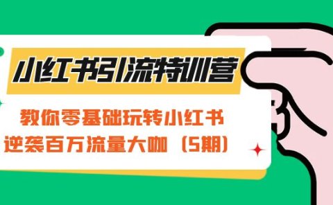小红书引流特训营-第5期:教你零基础玩转小红书,逆袭百万流量大咖