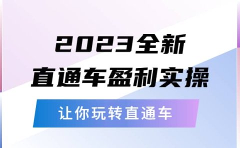 2023全新直通车·盈利实操:从底层,策略到搭建,让你玩转直通车