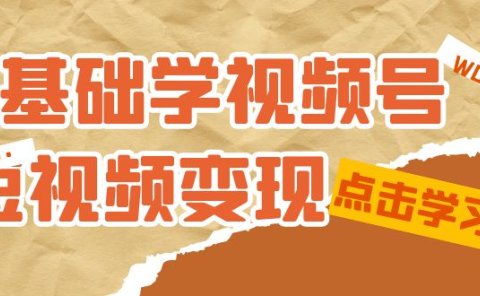 0基础学-视频号短视频变现:适合新人学习的短视频变现课(10节课)