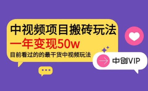 《老吴·中视频项目搬砖玩法，一年变现50w》目前看过的的最干货中视频玩法