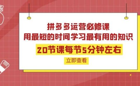 拼多多运营必修课:20节课每节5分钟左右,用最短的时间学习最有用的知识