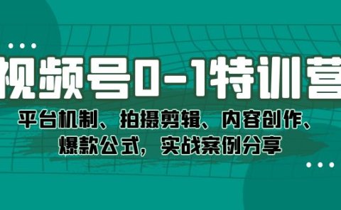 视频号0-1特训营:平台机制、拍摄剪辑、内容创作、爆款公式,实战案例分享