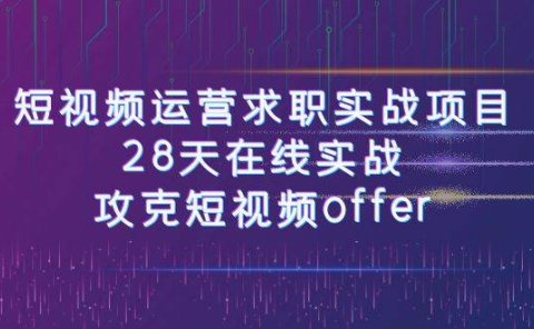 短视频运-营求职实战项目,28天在线实战,攻克短视频offer(46节课)