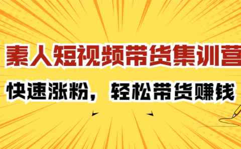 素人短视频带货集训营:快速涨粉,轻松带货赚钱