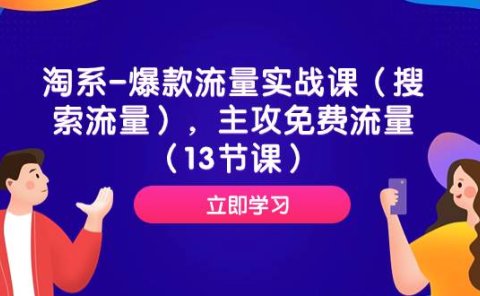淘系-爆款流量实战课(搜索流量),主攻免费流量(13节课)