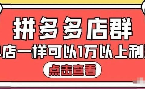 拼多多店群单店一样可以产出1万5以上利润【付费文章】