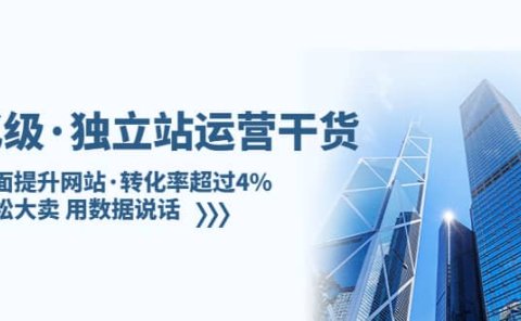 独立站运营干货:全面提升网站·转化率超过4%,轻松大卖 用数据说话