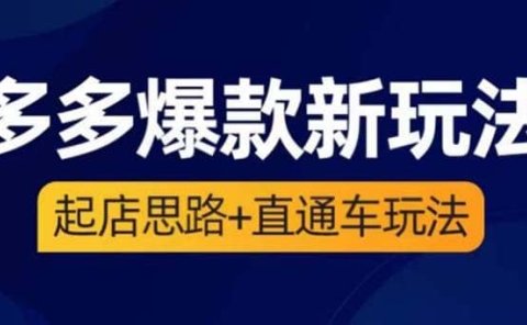 2023拼多多爆款·新玩法:起店思路+直通车玩法(3节精华课)