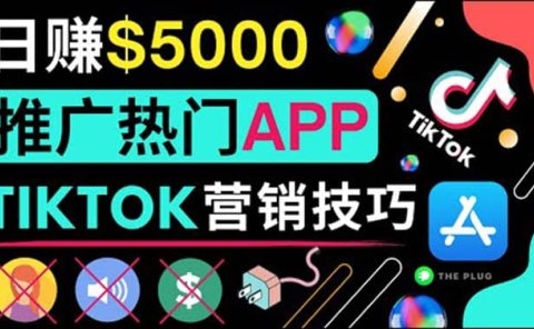 无需露脸,无需录音,无需投资,TIKTOK上传短视频,最高日入5000美元