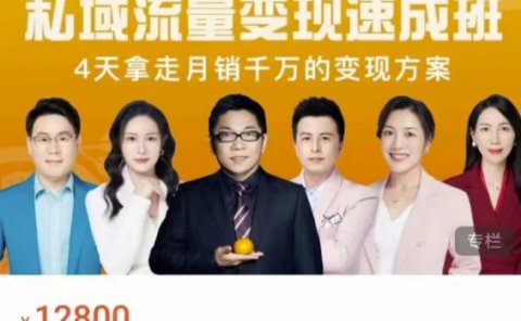 桔子会·私域流量变现速成班,4天拿走月销千万的变现方案 价值12800元