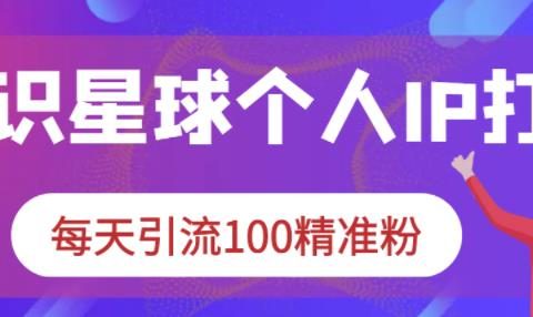 知识星球个人IP打造系列课程,每天引流100精准粉