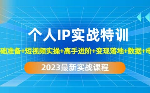 2023个人IP实战特训:基础准备+短视频实操+高手进阶+变现落地+数据+电商
