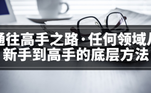 <通往高手之路·任何领域从新手到高手的底层方法>完结