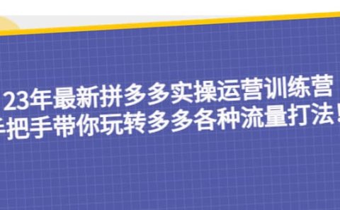 23年最新拼多多实操运营训练营:手把手带你玩转多多各种流量打法!