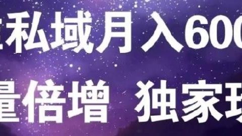 原力网赚精准私域月入60000+,流量倍增独家玩法