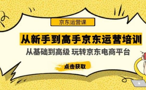 从新手到高手京东运营培训:从基础到高级 玩转京东电商平台(无水印)